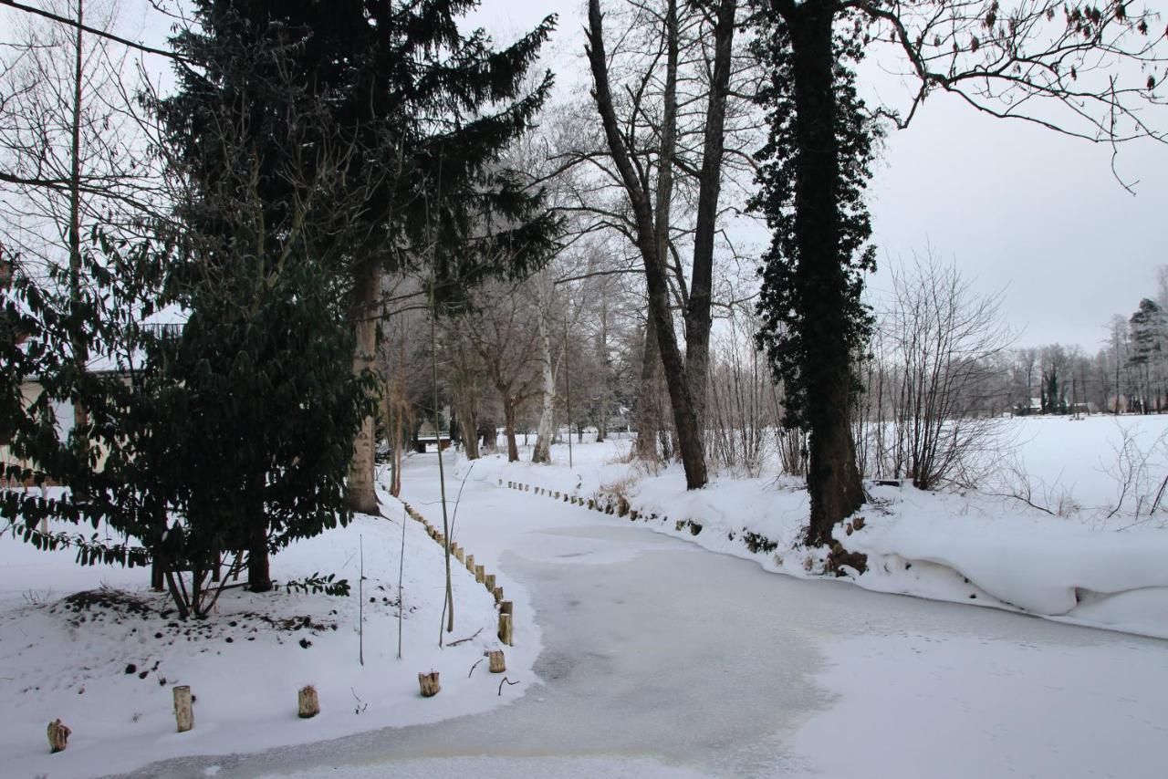 Landgasthof Zur Wildbahn Burg  Zewnętrze zdjęcie