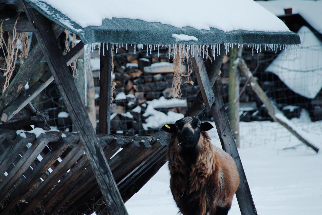 Landgasthof Zur Wildbahn Burg  Zewnętrze zdjęcie